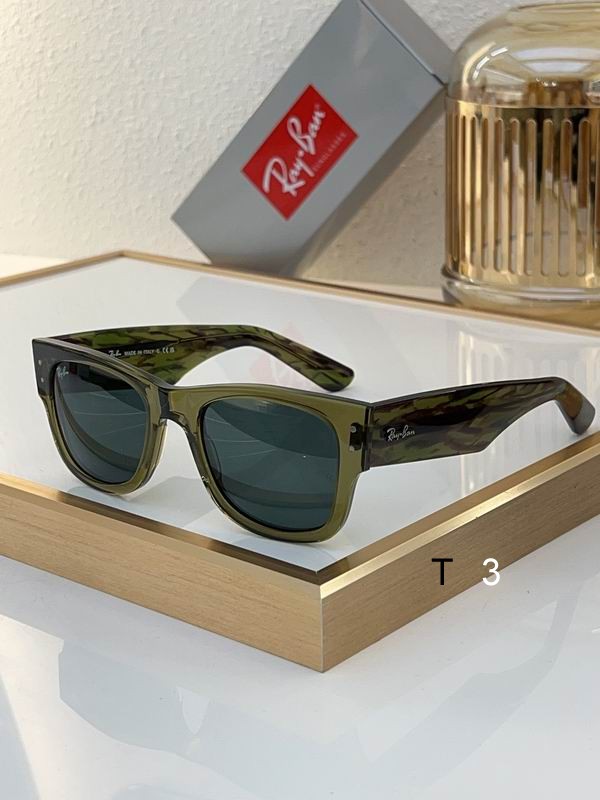 RayBan Sunglasses ID:20240804-386